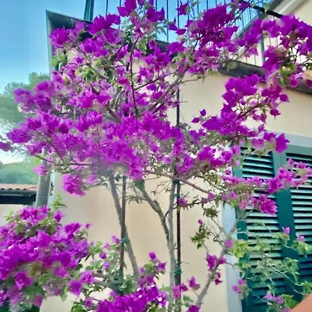 Biancalana Apartment